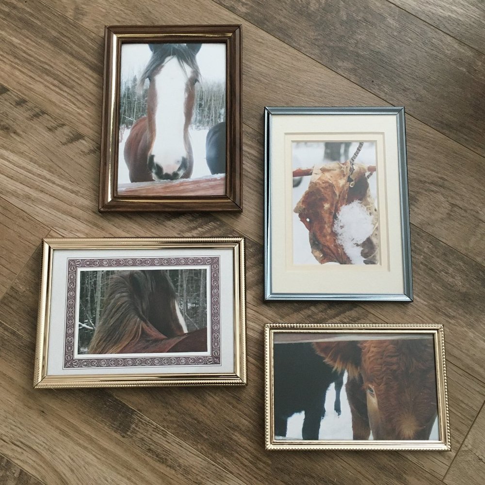 4 Vintage Equestrian Metal Frames Dark Academia Art - Picture 2 of 15